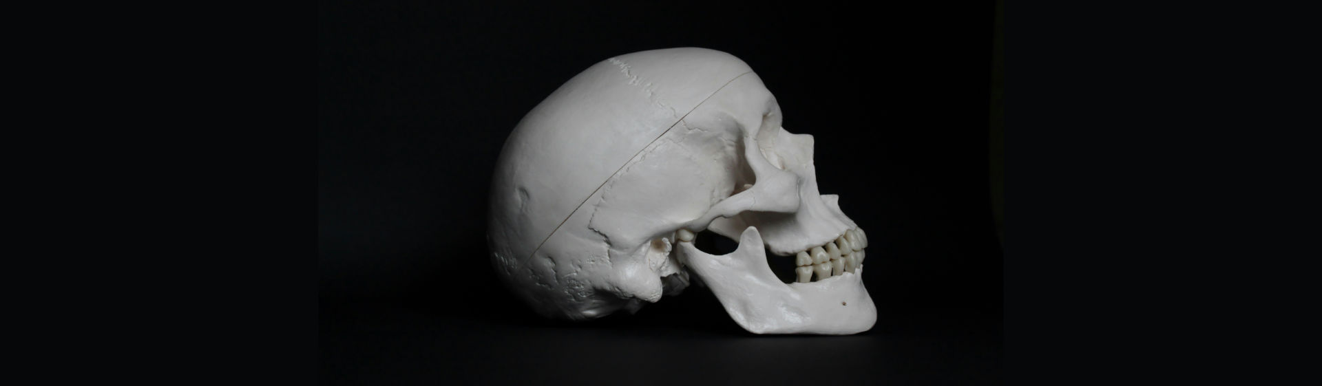 white skull in side view showing the TMJ (Temporomandibular joint- jaw joint) against black background. TMJ joint pain area shown | Photo by Anne Nygård on Unsplash