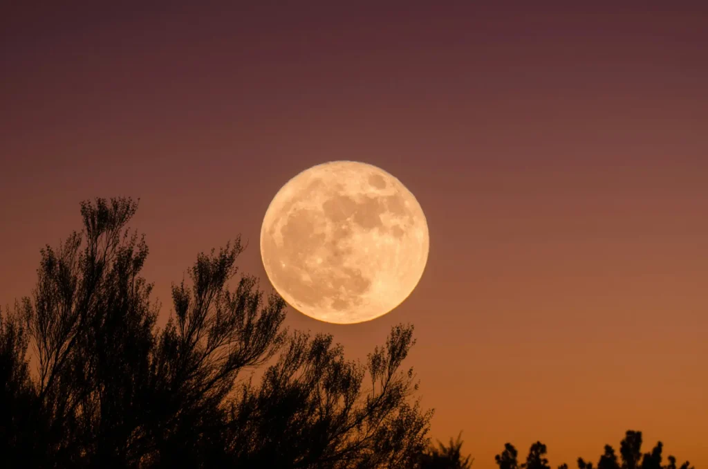Full moon rising over dusky horizon | how the full moon affects mood