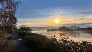 regulating your nervous system